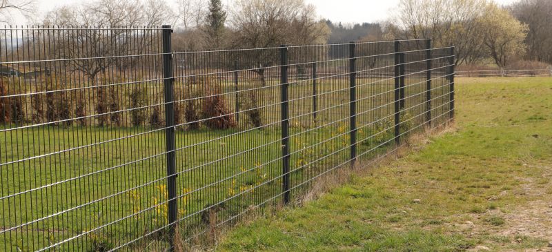 Metal Fencing Service