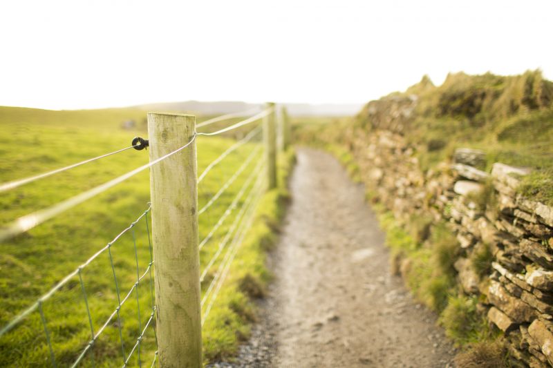 Sheep Fence Installation